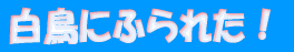 �����ɂӂ�ꂽ�I